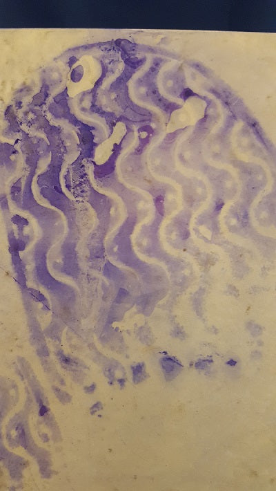 LeucoCrystal Violet, w/fixative