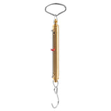 Chatillon Straight Scale