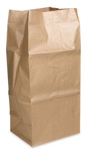 Extra-Large Paper Bag