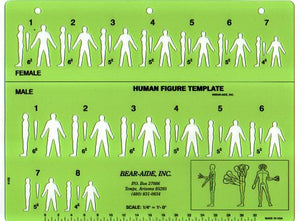 Human Figure Template