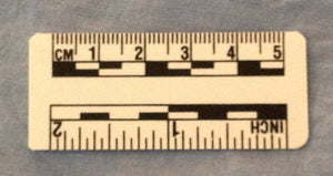 Fractional and Metric Plastic Rules - 2" / 5cm