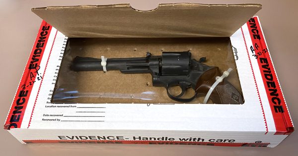Gun Box, DiscoveryBox™, 20 pk – medtechforensics