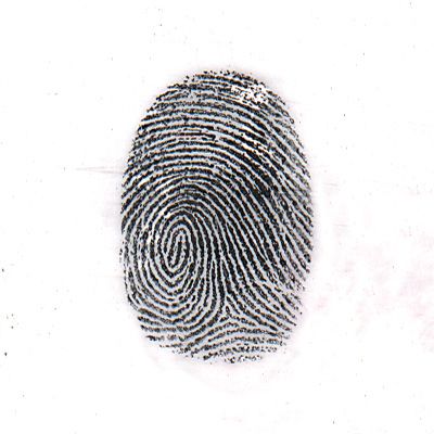 Magnetic Latent Print Powder, Black – medtechforensics